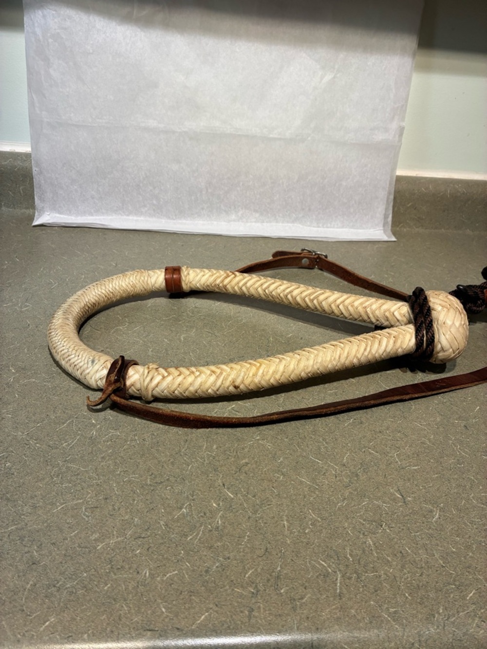 Bosal With Headstall**READ - Picture 6 of 14